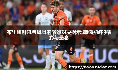 球友直播布里班狮吼与凤凰的激烈对决揭示澳超联赛的精彩与悬念